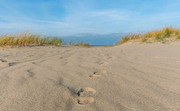 istock Human footprints in the sand, on the Baltic Sea. 1285508119