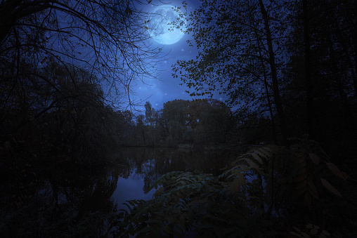 A wondrous forest lake in the moonlight at midnight.