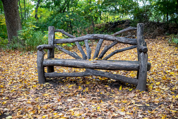 un banc le long d’un chemin dans le ramble à l’intérieur de central park, new york city - ramble photos et images de collection