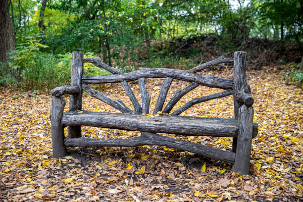 un banc le long d’un chemin dans le ramble à l’intérieur de central park, new york city - ramble photos et images de collection