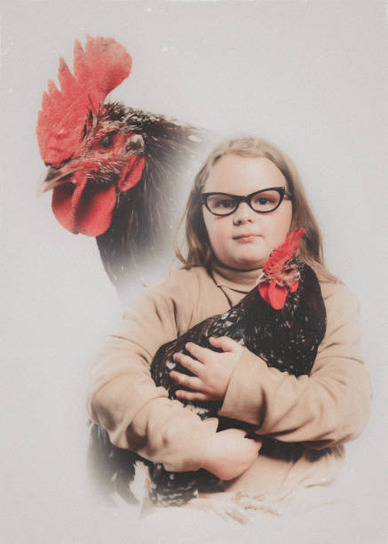 A young Caucasian girl and her pet chicken pose for a formal portrait. Vintage styled portrait in 1980's style.
