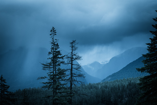 Rain storm in the valley near Myra Falls in Strathcona Park on Vancouver Island.