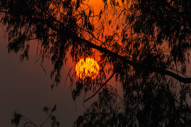 Beautiful sunset with the sun shining and red