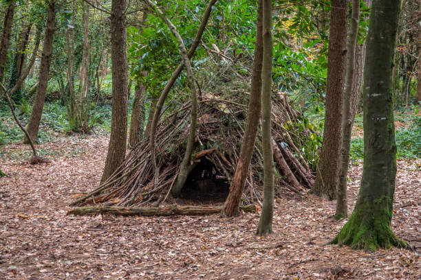 woodland camp made of sticks in a clearing