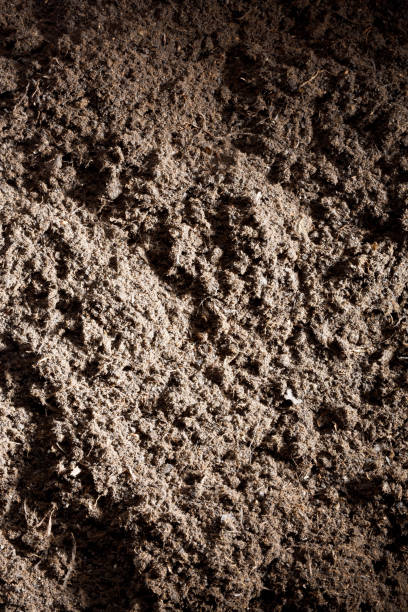 istock Garden soil texture background, humus soil 1285522295