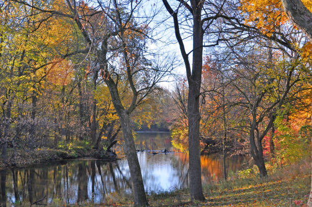 istock Fall Colors with a Creek-Howard County Indiana 1285525824