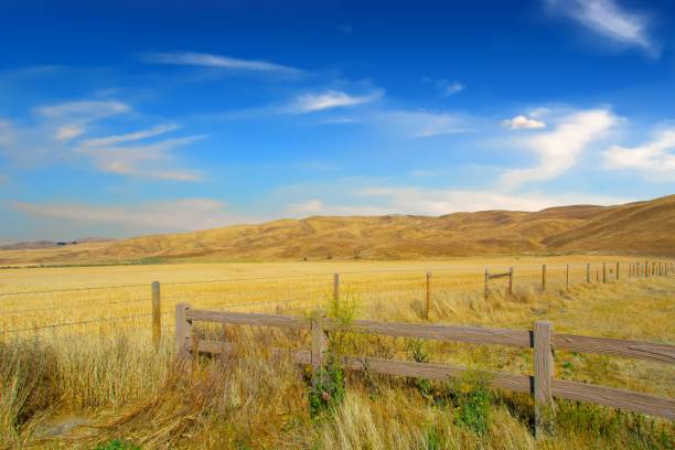 istock Wheat field and fence-Central California 1285525905