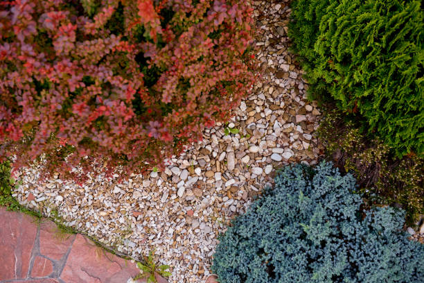 landscape stone modern garden design composition with marigold orange blue green plants . High quality photo