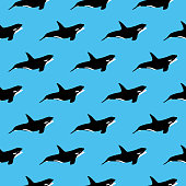 istock Killer Whales Seamless Pattern 1285526743