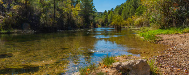 istock Cabriel River with crystal clear waters and surrounded by green vegetation in the mountains of Albacete 1285527642