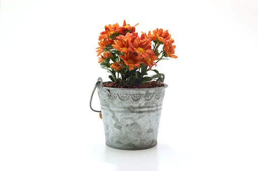 Pictured bouquet of chrysanthemum in a bucket shaped tin flowerpot.