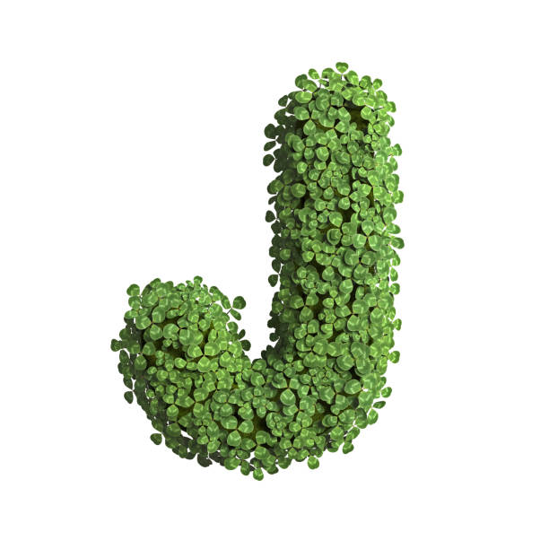 클로버 레터 j - 어퍼 케이스 3d 스프링 글꼴 - 자연, 생태 또는 환경 관련 주제에 적합 - letter j alphabet three dimensional shape green 뉴스 사진 이미지