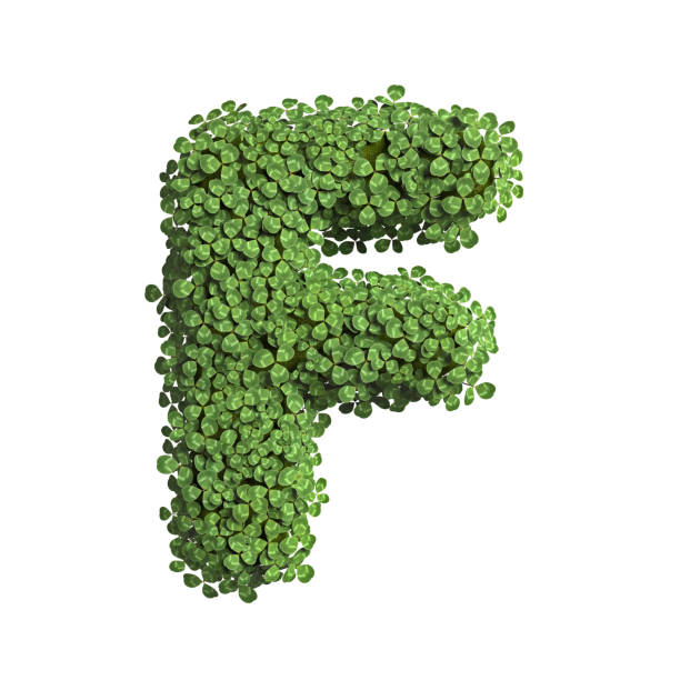 istock clover letter F - Upper-case 3d spring font - suitable for Nature, ecology or environment related subjects 1285529895
