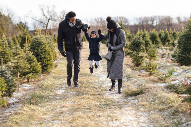 istock Young parents play with their daughter at a tree farm 1285532941
