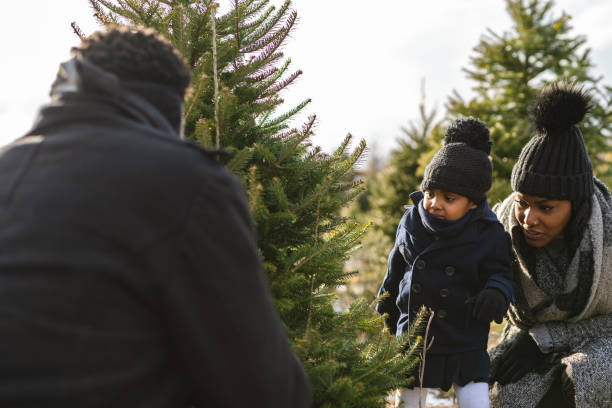 istock A family search for a Christmas tree at a tree farm 1285532954