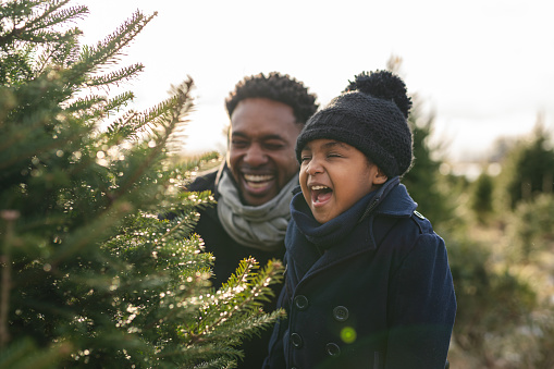 A handsome father and cute daughter of African American ethnicity laugh together at a tree farm. They are at a tree farm and searching for the perfect Christmas tree. They are both wearing warm winter clothes.