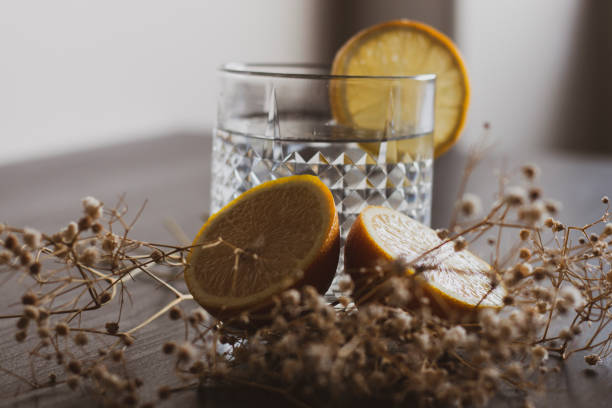 Iced gin and tonic cocktail drink with lemon fruit and herbs. Isolated glass on rustic background with the sunlight.