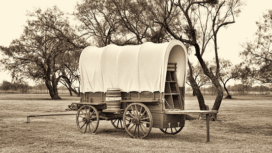 Old wild west covered wagon in Texas with mesquite trees in sepia black and white.