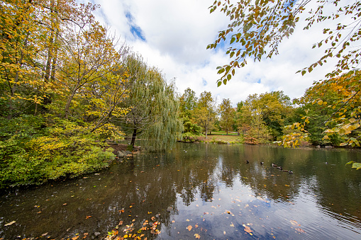 Manhattan, New York City. Nature of Central Park in the autumn.