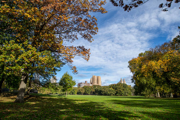 istock The Sheep Meadow in Central Park 1285543419