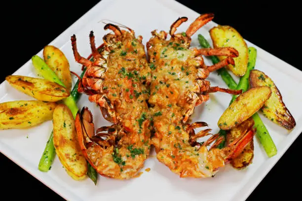 Photo of lobster thermidor served with glazed potato and asparagus in a platter, black background