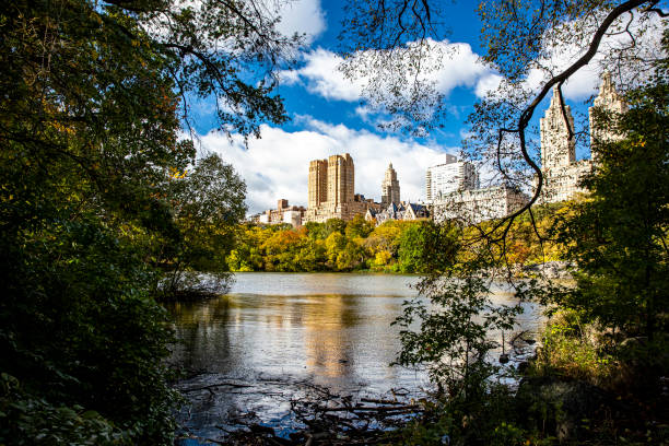 uma vista do lago do ponto dentro do ramble no central park, nova york - ramble - fotografias e filmes do acervo