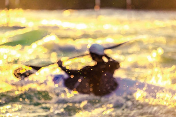 istock kayaker rowing against the stream at sunrise 1285577953