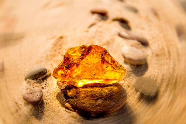 istock Amber on a beach of the Baltic Sea 1285582964