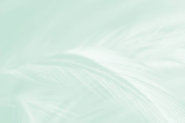 istock green vintage color trends feather background 1285587302