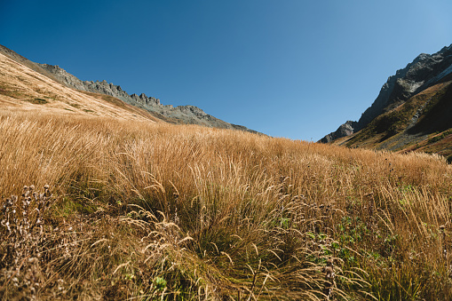Landscape color photo of autumn grass in mountain.