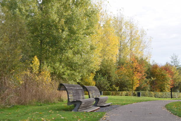 wooden bench in the Maximapark in Utrecht that is full of autumn colors stock photo