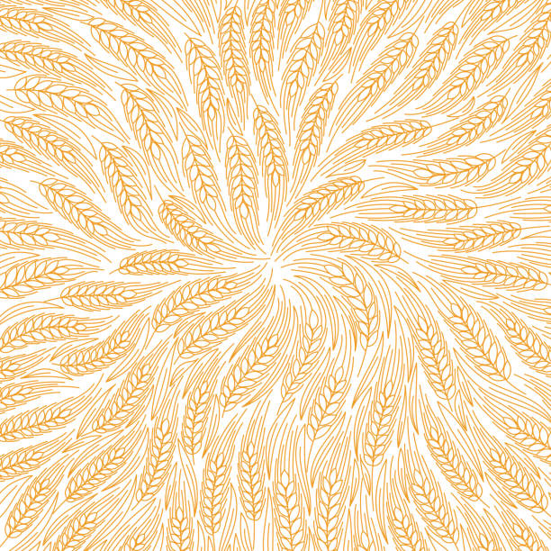 Cereal field pattern background. Ears of wheat. Agriculture harvest. Dry yellow. Orange contour vector line. Bread wrapper. Cereal field pattern background. Leaves and ears of wheat. Agriculture harvest. Dry yellow grass meadow. Orange contour vector line. Bread wrapper. bread patterns stock illustrations