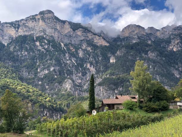 istock Landscape around Tramin Southtyrol 1285598279