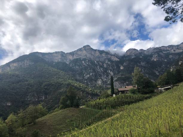 istock Landscape around Tramin Southtyrol 1285598286