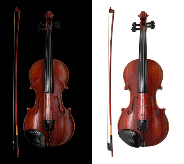 Front view of viola on black and white background 3d rendering