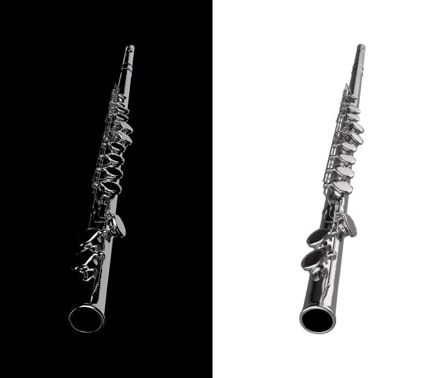 istock Angled view of silver flute with black and white variations 3d rendering 1285604205