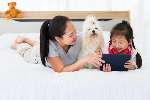 Asian mother and daughter using tablet on bed with dog.