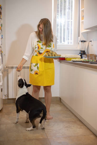 istock Young woman feeding her dog in the kitchen 1285606270