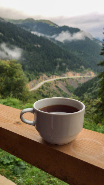 istock A cup of tea in the mountain landscape 1285607383
