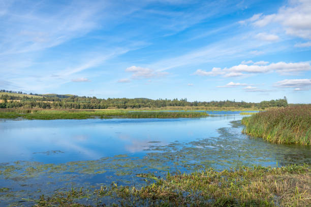 RSPB, Loch Kinnordy, Angus, Scotland