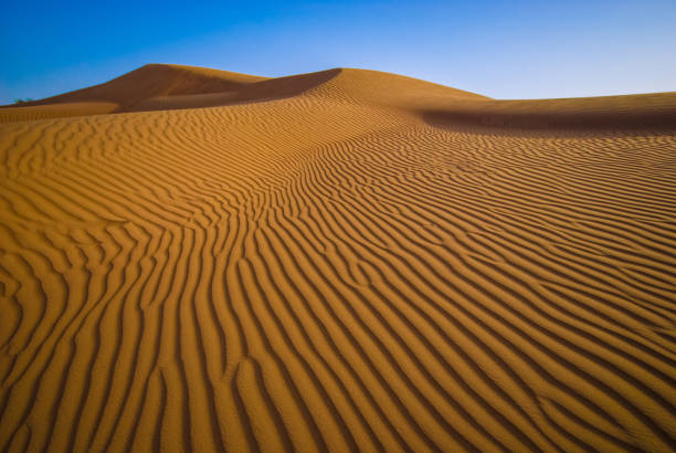 istock Wahiba sands, Sultanate of Oman. 1285610605