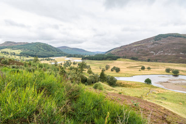 River Dee, Near Braemar, Aberdeenshire, Scotland