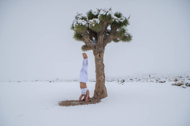 donna pratica yoga accanto all'albero di yucca, nevoso - insolito foto e immagini stock