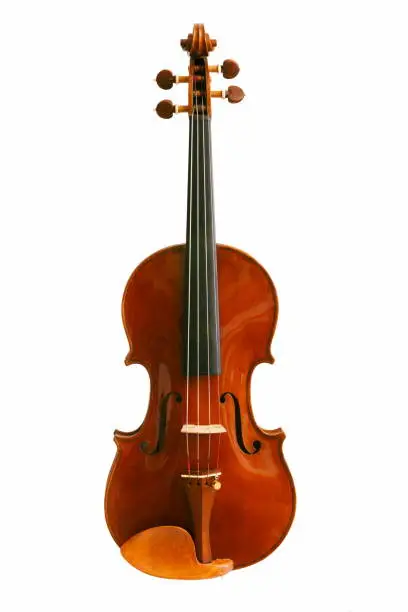 Photo of Violin from front on white background