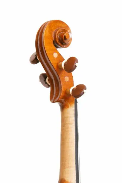 Photo of Violin headstock on white background