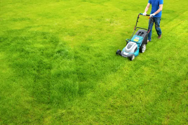 A lawn mower is cutting green grass, the gardener with a lawn mower is working in the backyard, a side view.