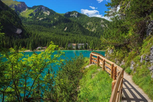 beau lac dans les alpes - footpath european alps fence woods photos et images de collection