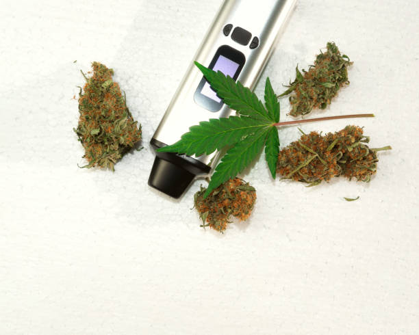 istock portable electronic vaporizer for smoking dry herbs next to hemp leaves 1285625622