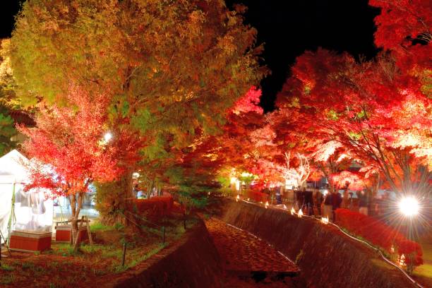 富士河口湖の紅葉色、富士五湖地域 - fuji mt fuji yamanashi prefecture japanese fall foliage ストックフォトと画像
