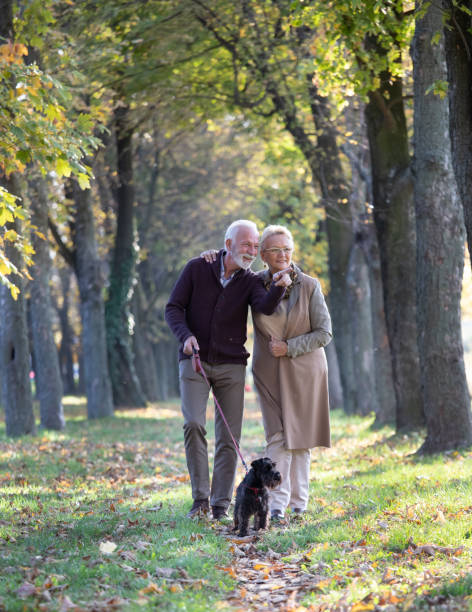 istock Senior couple walking in forest with dog 1285628799